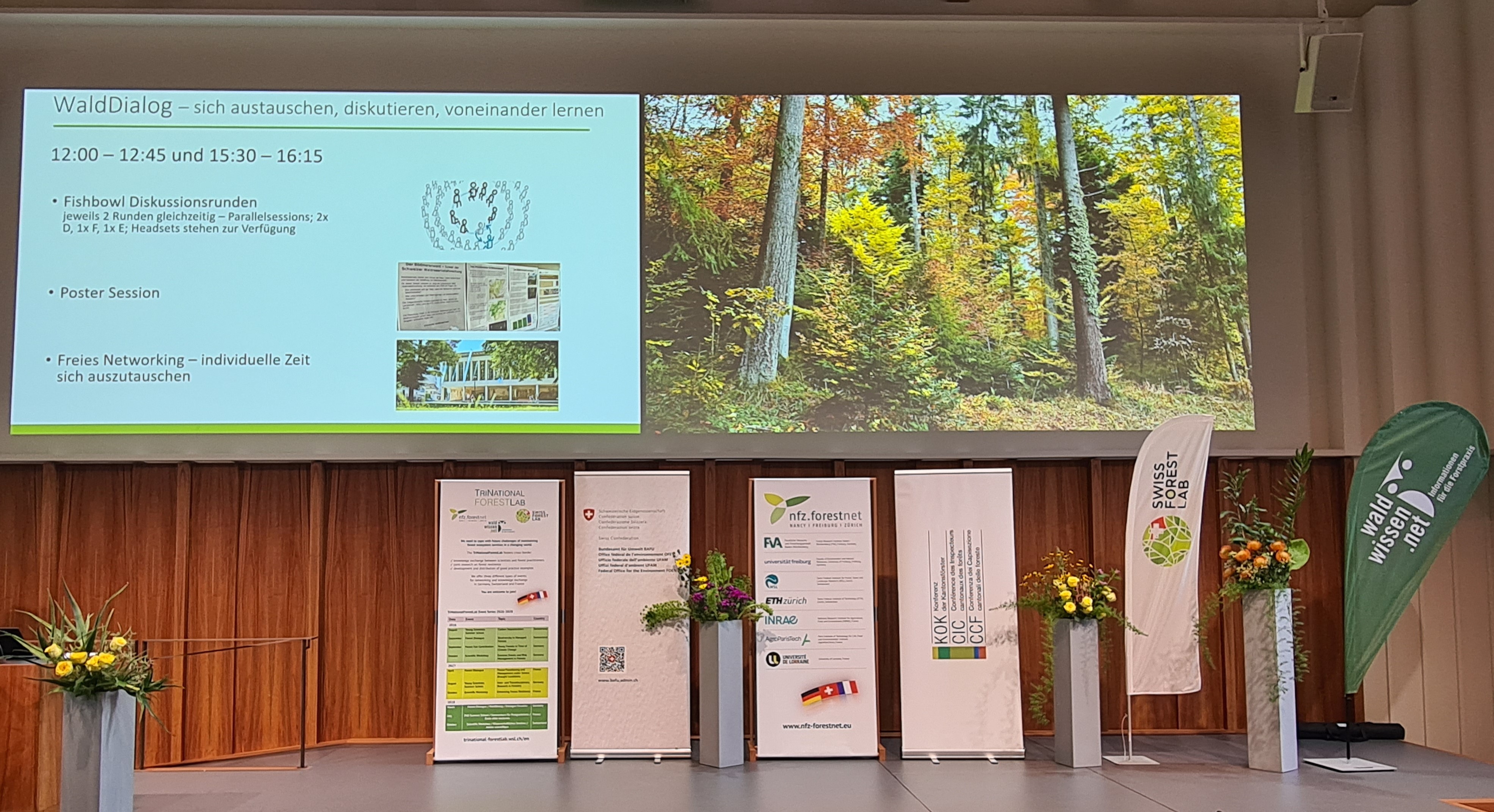 TNFL Forest Dialogue Stage (c)CGrossmann 20260910_154405_zoom.jpg TNFL Forest Dialogue Stage (c)CGrossmann 20260910_154405_zoom.jpg