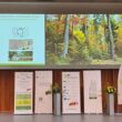 TNFL Forest Dialogue Stage (c)CGrossmann 20260910_154405_zoom.jpg
