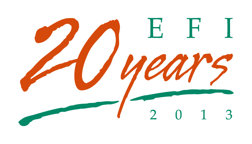 EFI 20 years official logo