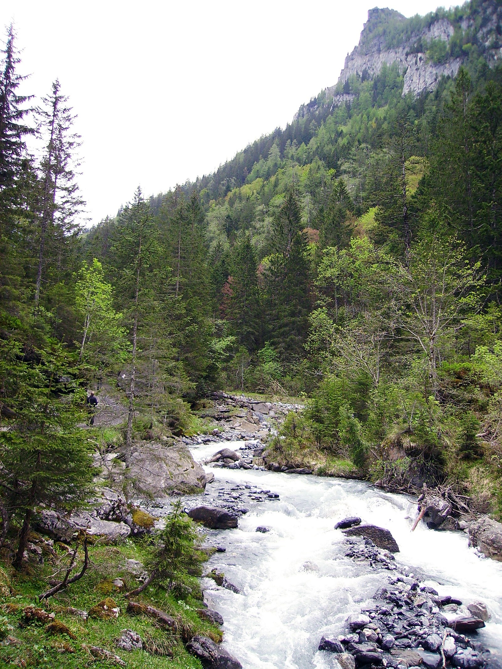 Alexandre Fruleux, mountain torrent