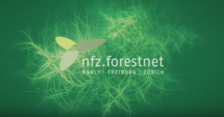 Retrace the NFZ.forestnet history in videos !