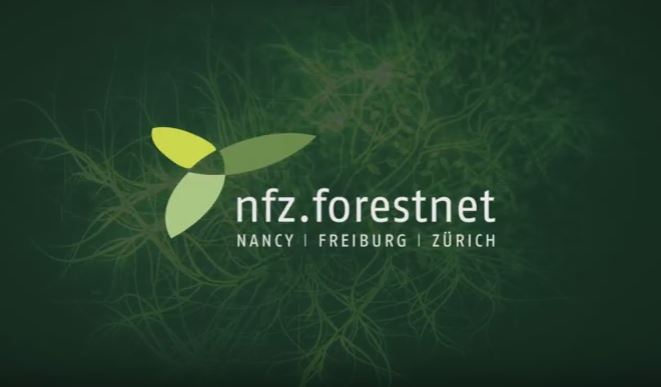 Retrace the NFZ.forestnet summerschools in videos !